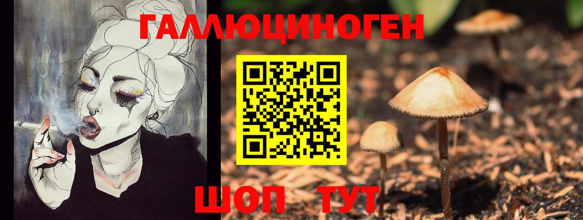 Псилоцибиновые грибы Cubensis Калач-на-Дону