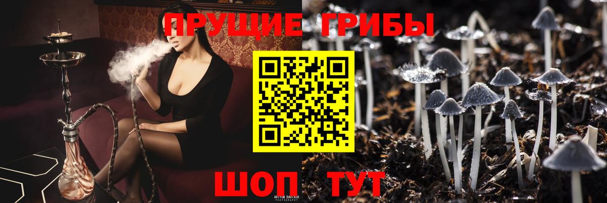 Псилоцибиновые грибы мухоморы  Галлюциногенные грибы Psilocybine cubensis  Вход с VPN  Калач-на-Дону 